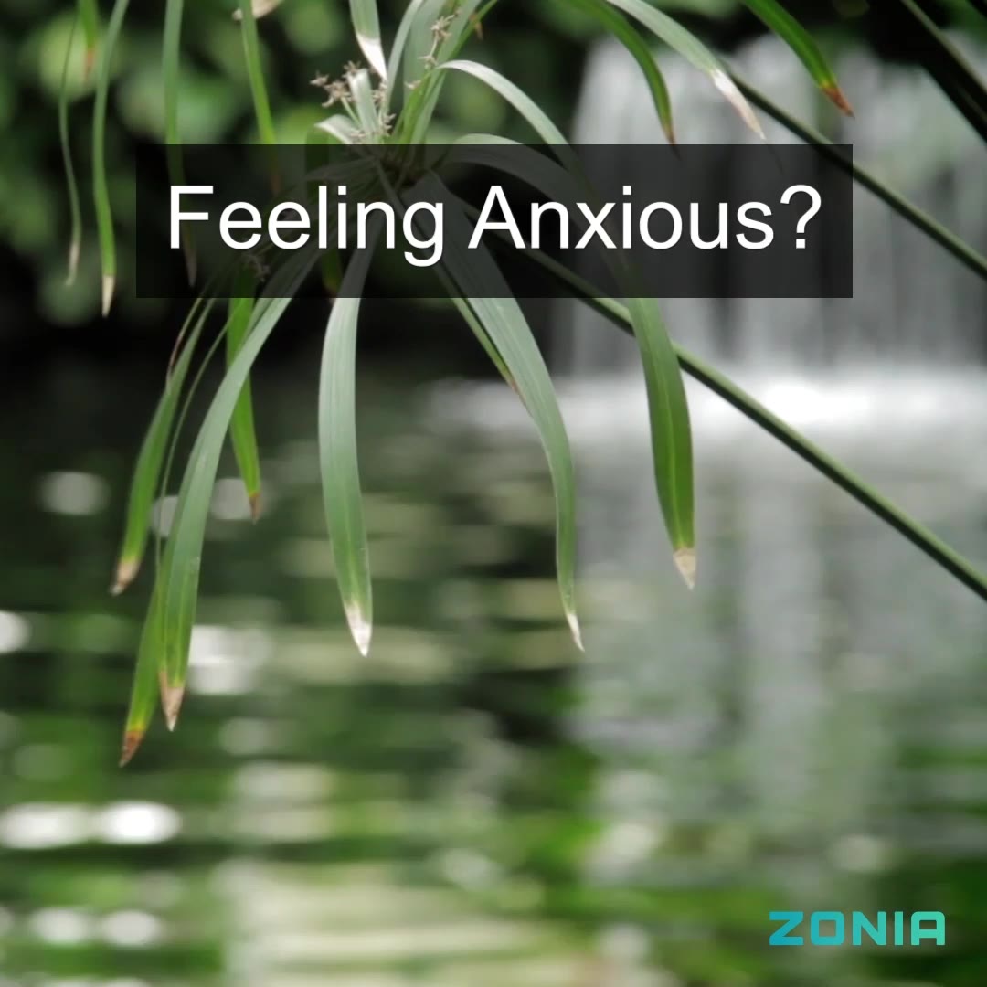 Try Zonia Risk-Free for 7 Days