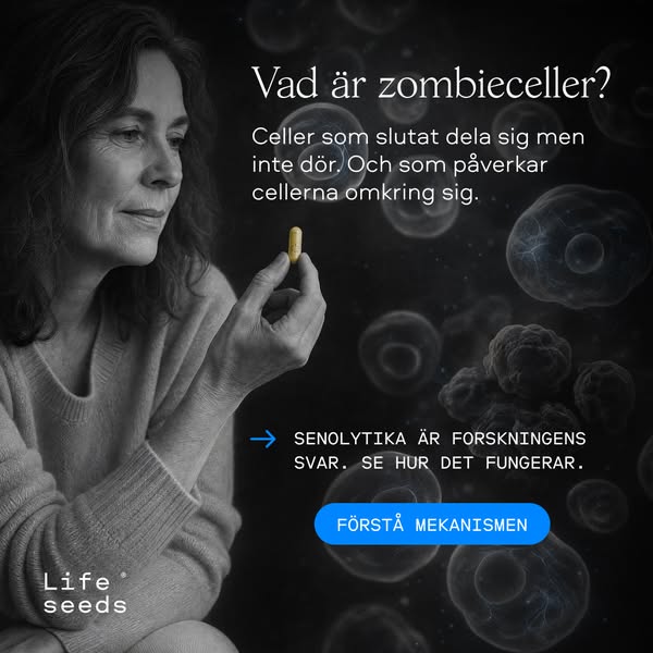 Två dagar. Sedan paus.