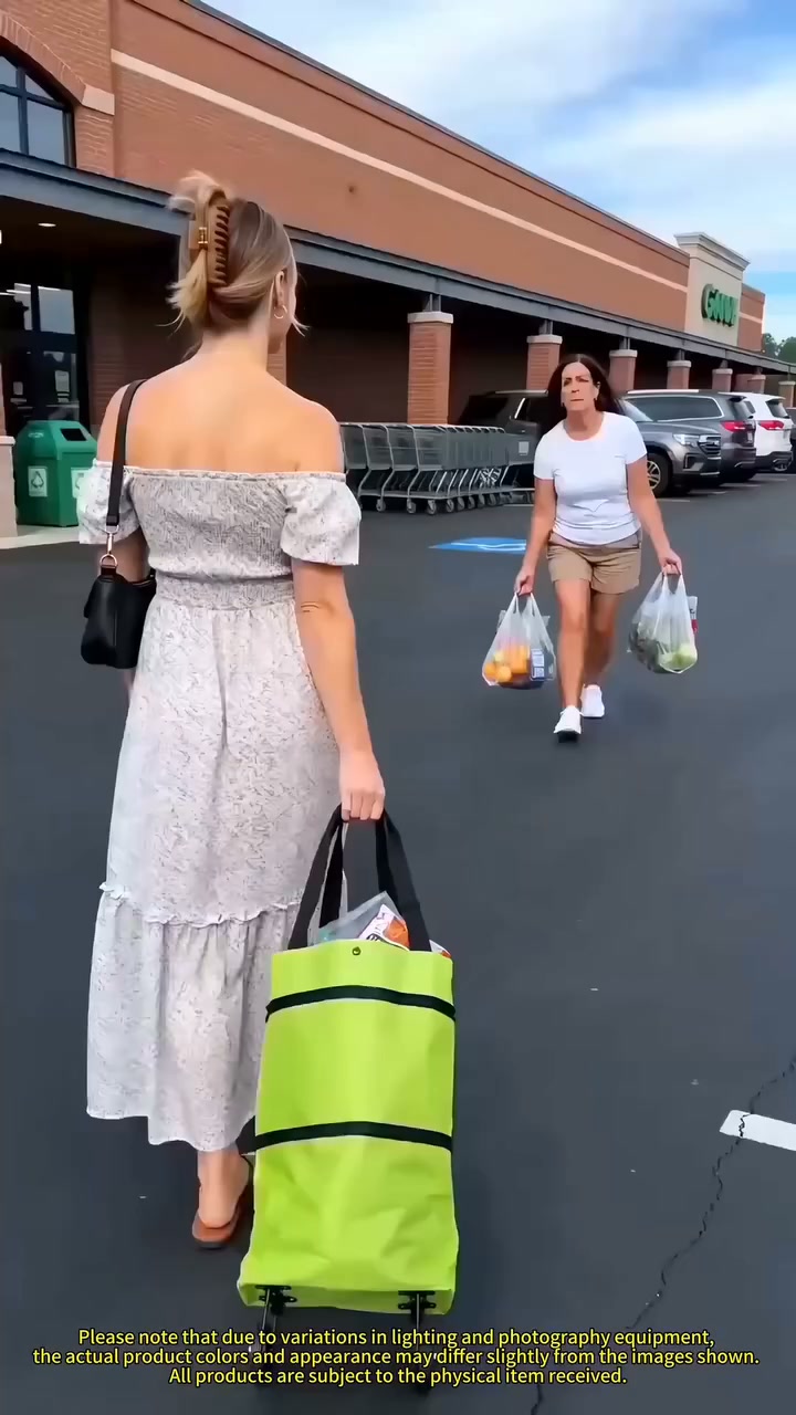 2 in 1 Foldable Shopping Cart