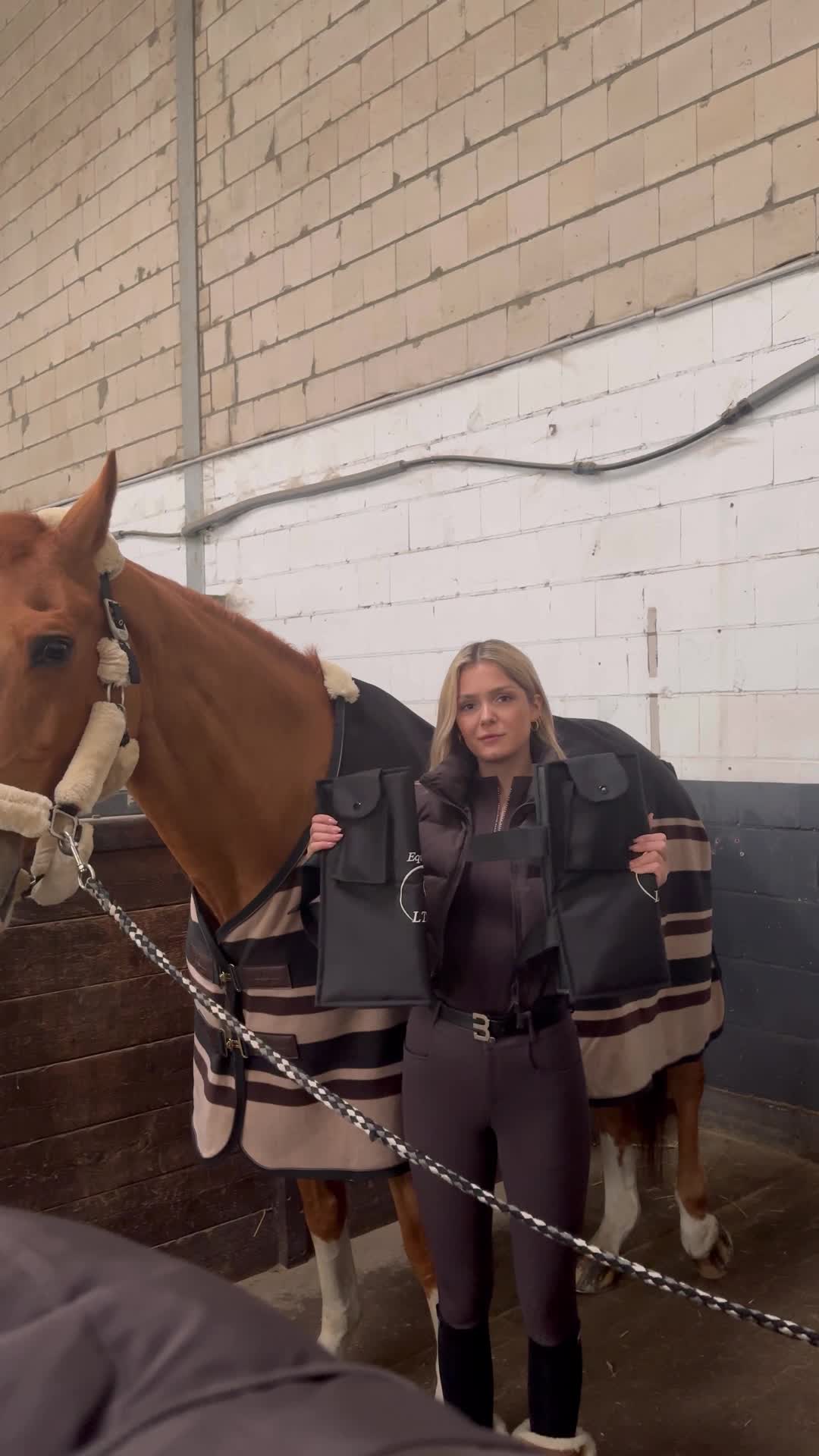 Buy one Equine LTS 3.0. Get the second one free.