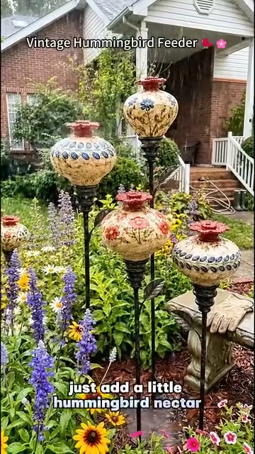 Place it among your flowers and greenery, then enjoy the beauty and movement of hummingbirds right in your own garden. Feed the birds. B