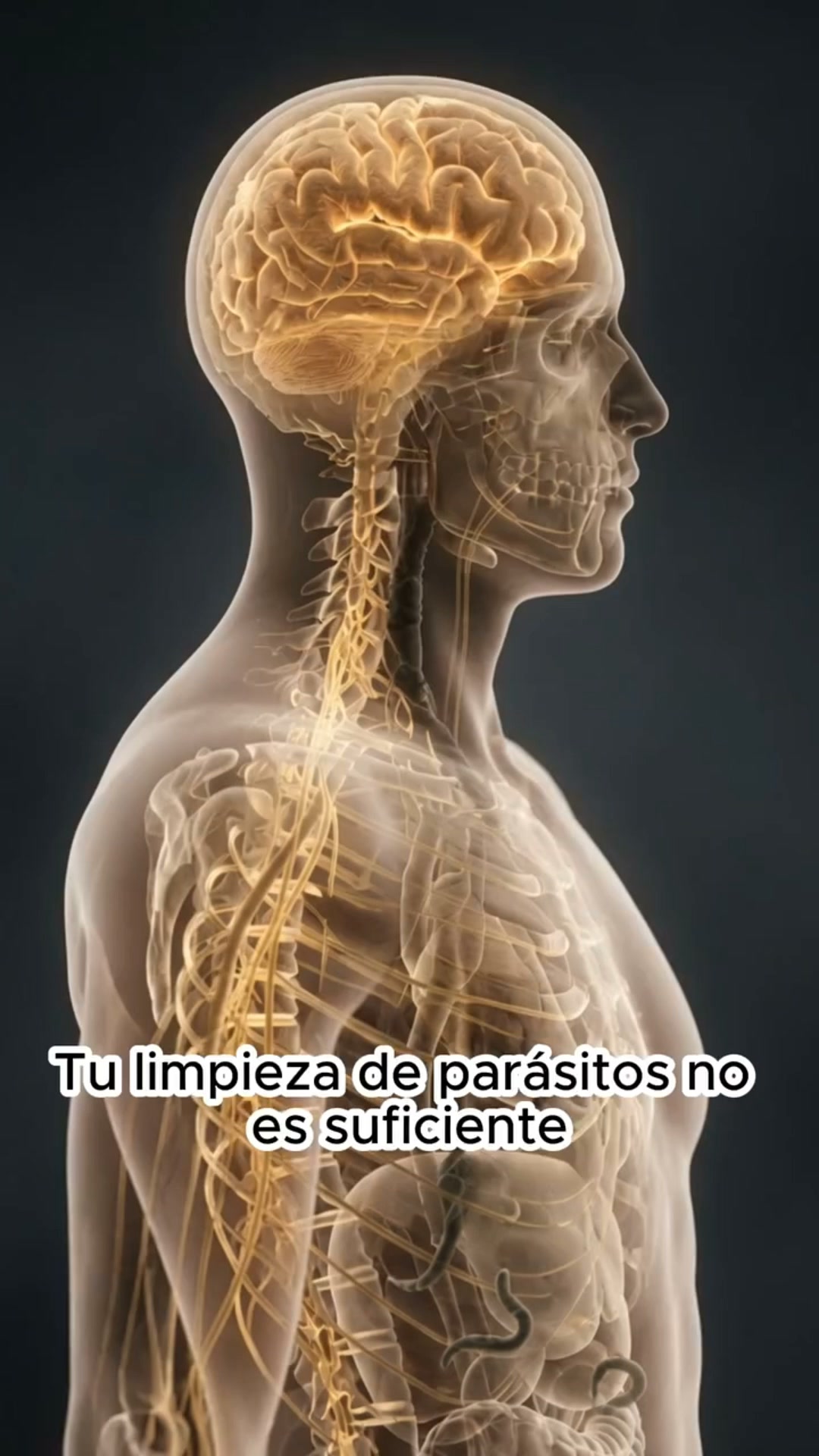El apoyo natural más concentrado que tu cuerpo estaba esperando.