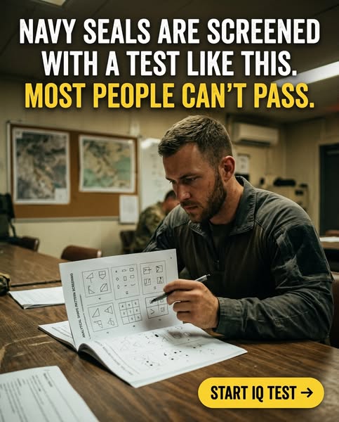 Try Now --->