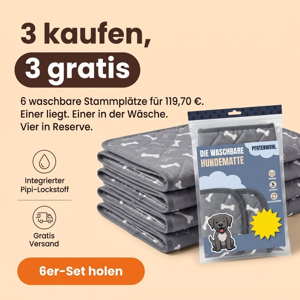 Wie wir jeden Hund stubenrein bekommen