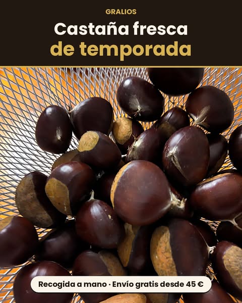 Castaña fresca de temporada