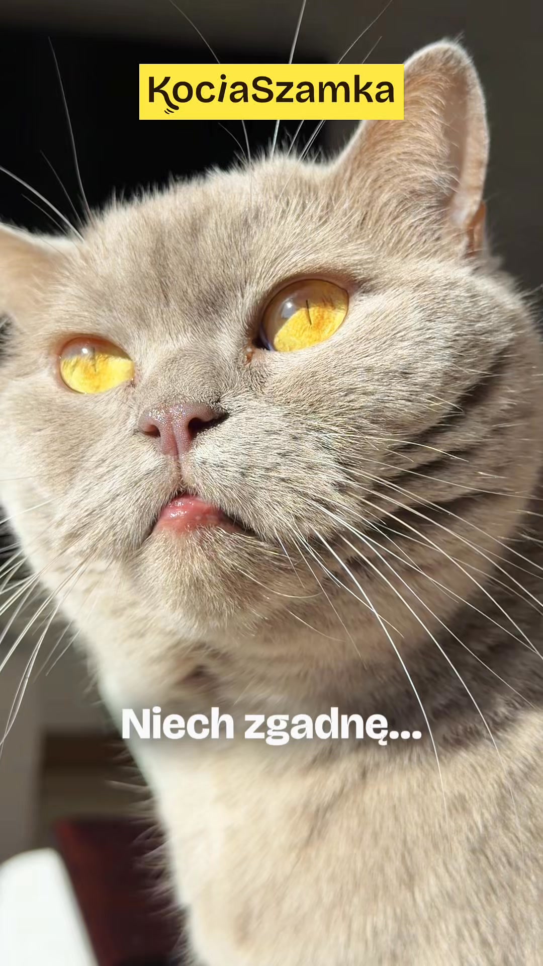 20% na 2 pierwsze paczki!