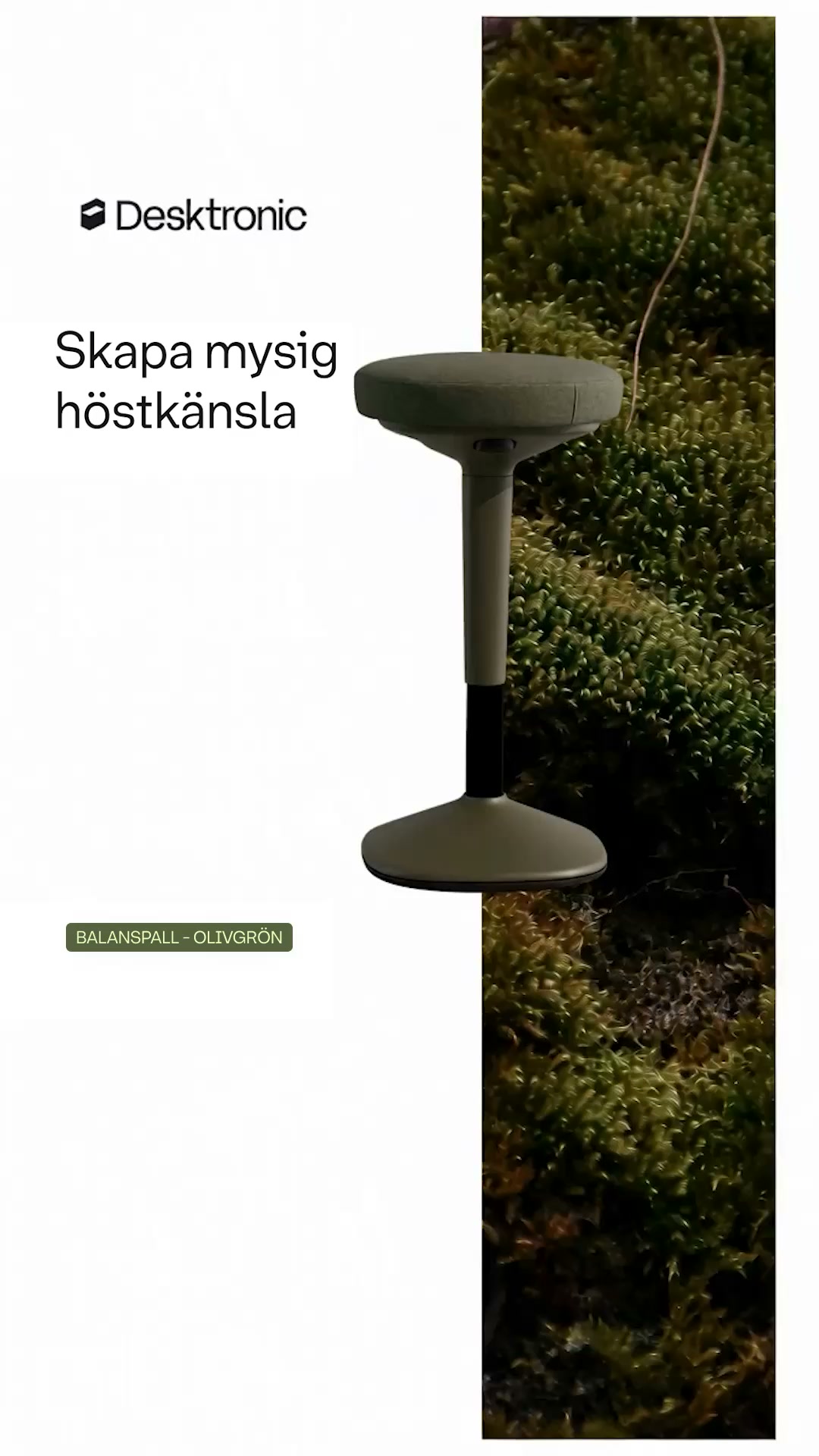 Mysig höst. Nytt skrivbord.