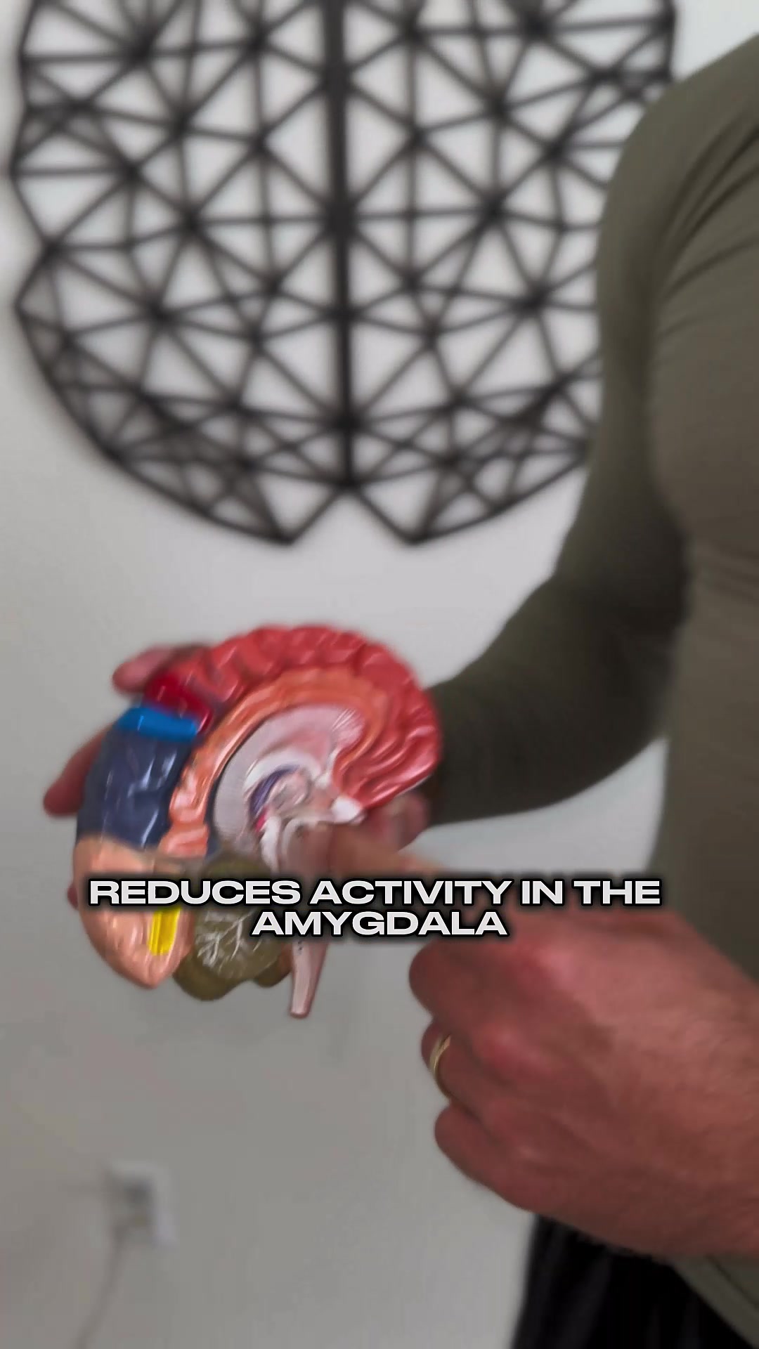 2-Day Neurotraining Online Live Seminar