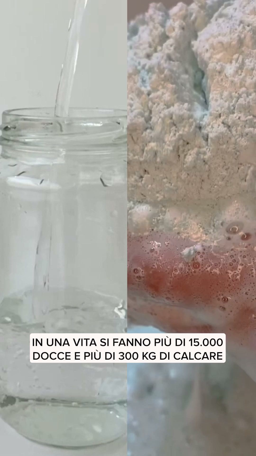Spedizione Gratuita