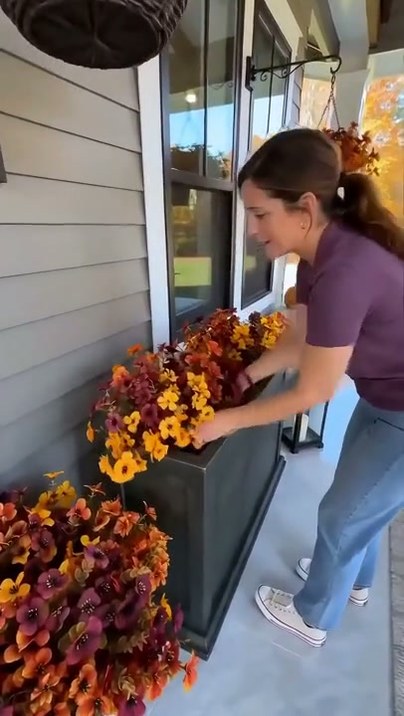 Des fleurs pour l’automne et l’hiver