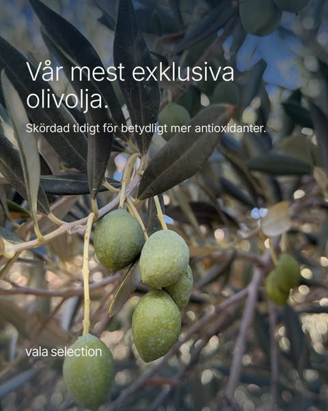3 × Early Harvest för 1 299 kr