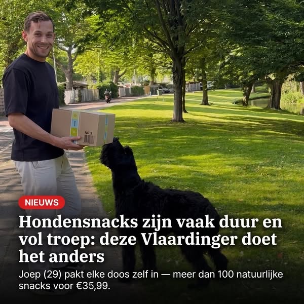 Meer dan 100 gezonde hondensnacks.