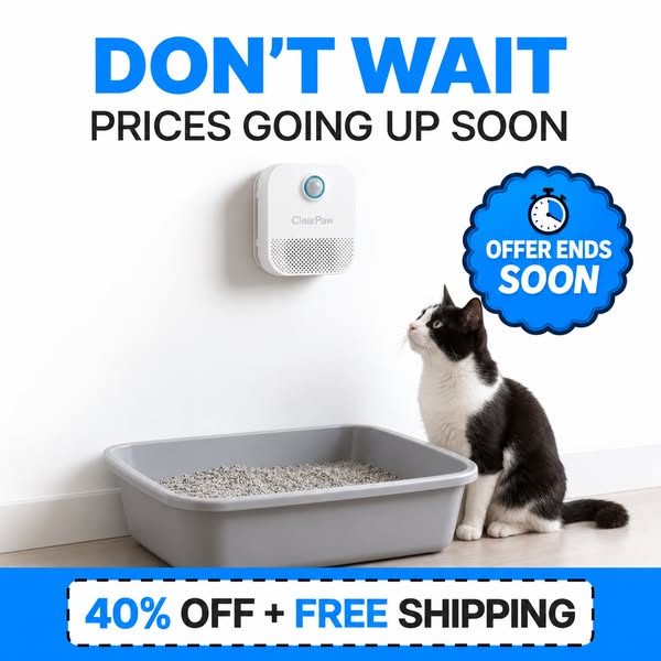 Get Rid Of Litter Box Smell For Good