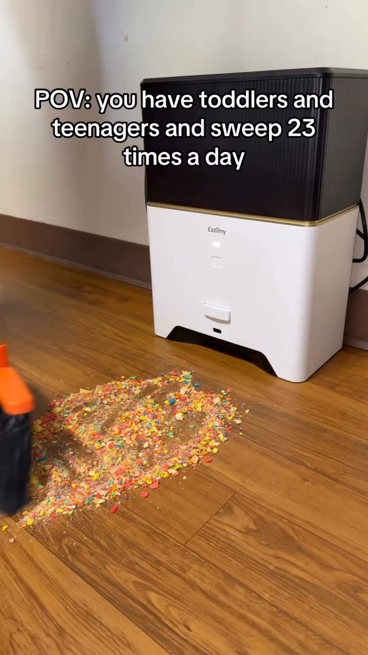 The Dustpan That Vacuums