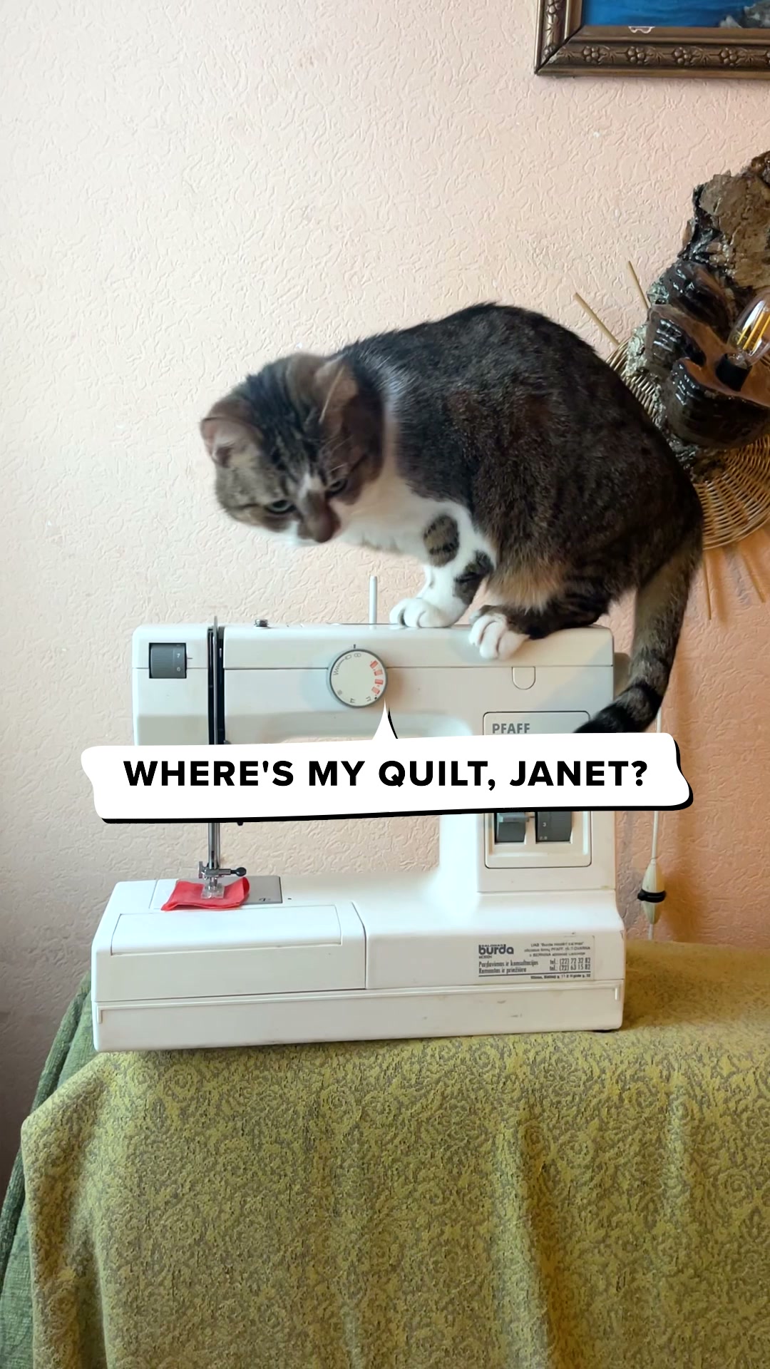 Calling All Cat-Obsessed Quilters