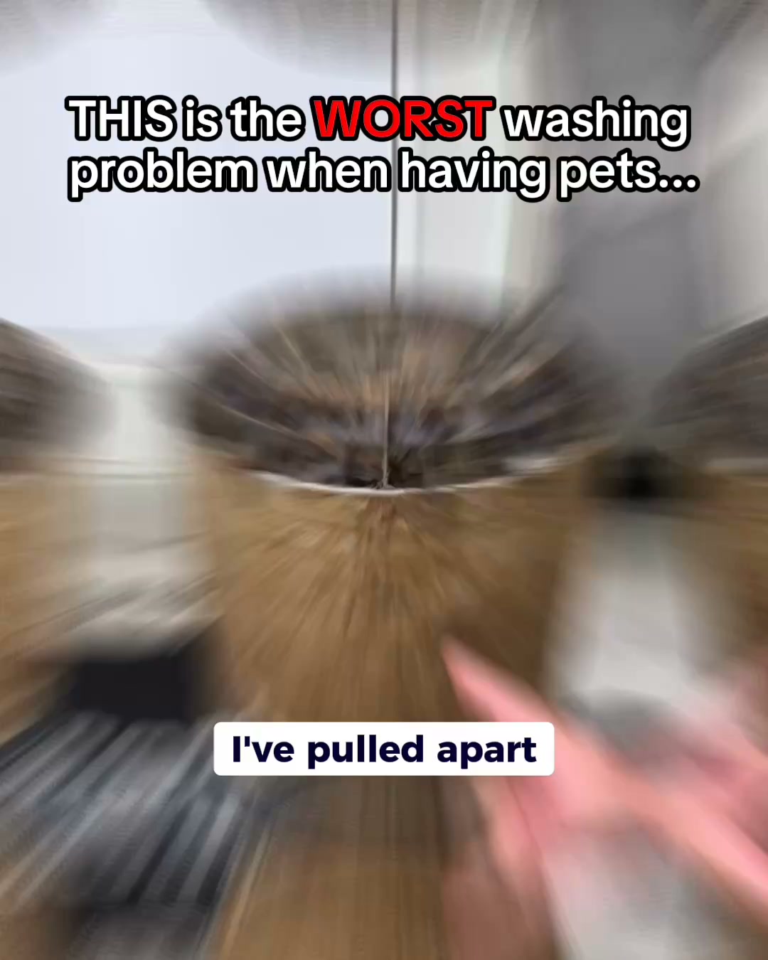 Get Rid of Bacteria & Pet Odour from Your Machine