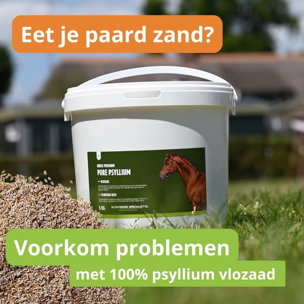 Ondersteun de darmgezondheid!