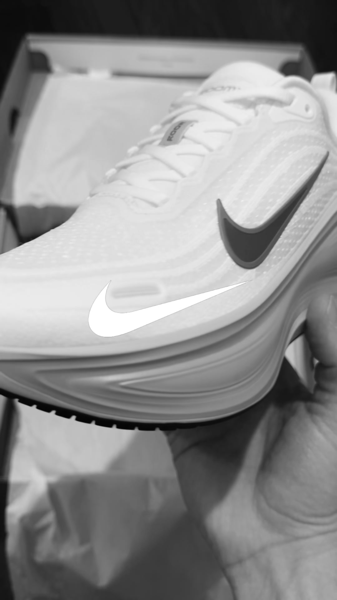 Summer 2026 Comfort Sneaker + 3 Free Socks