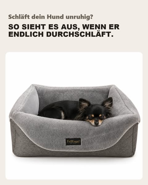Orthopädischer Komfort für kleine FellEngel
