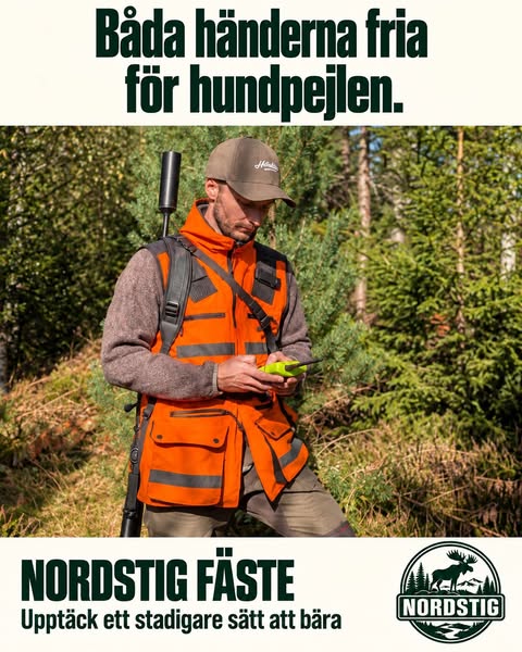 Nordstig