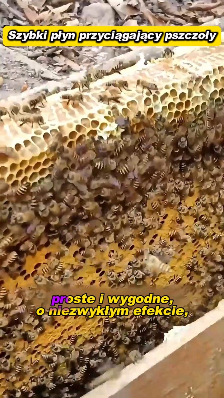 Darmowa dostawa płatność przy odbiorze