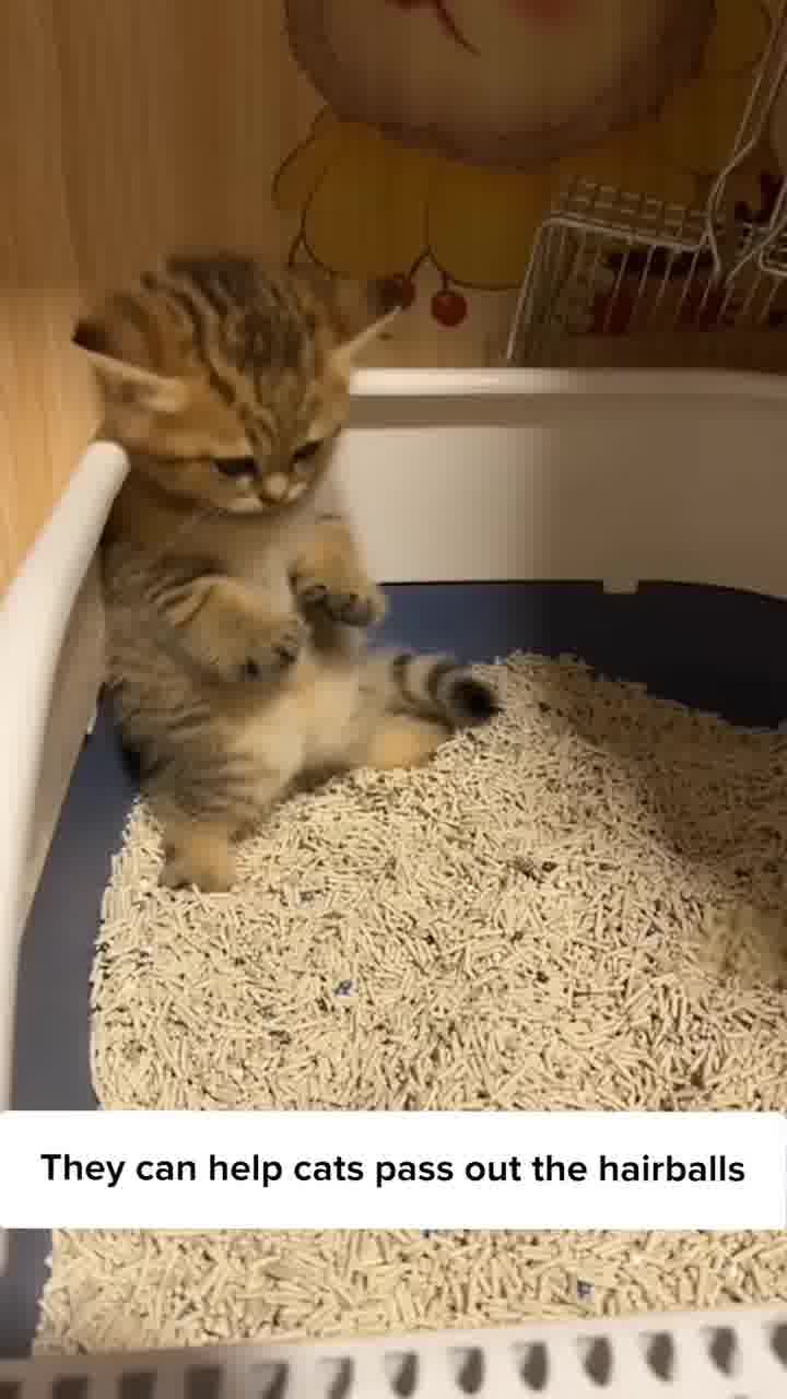 One Treat. Endless Cat Health Benefits.