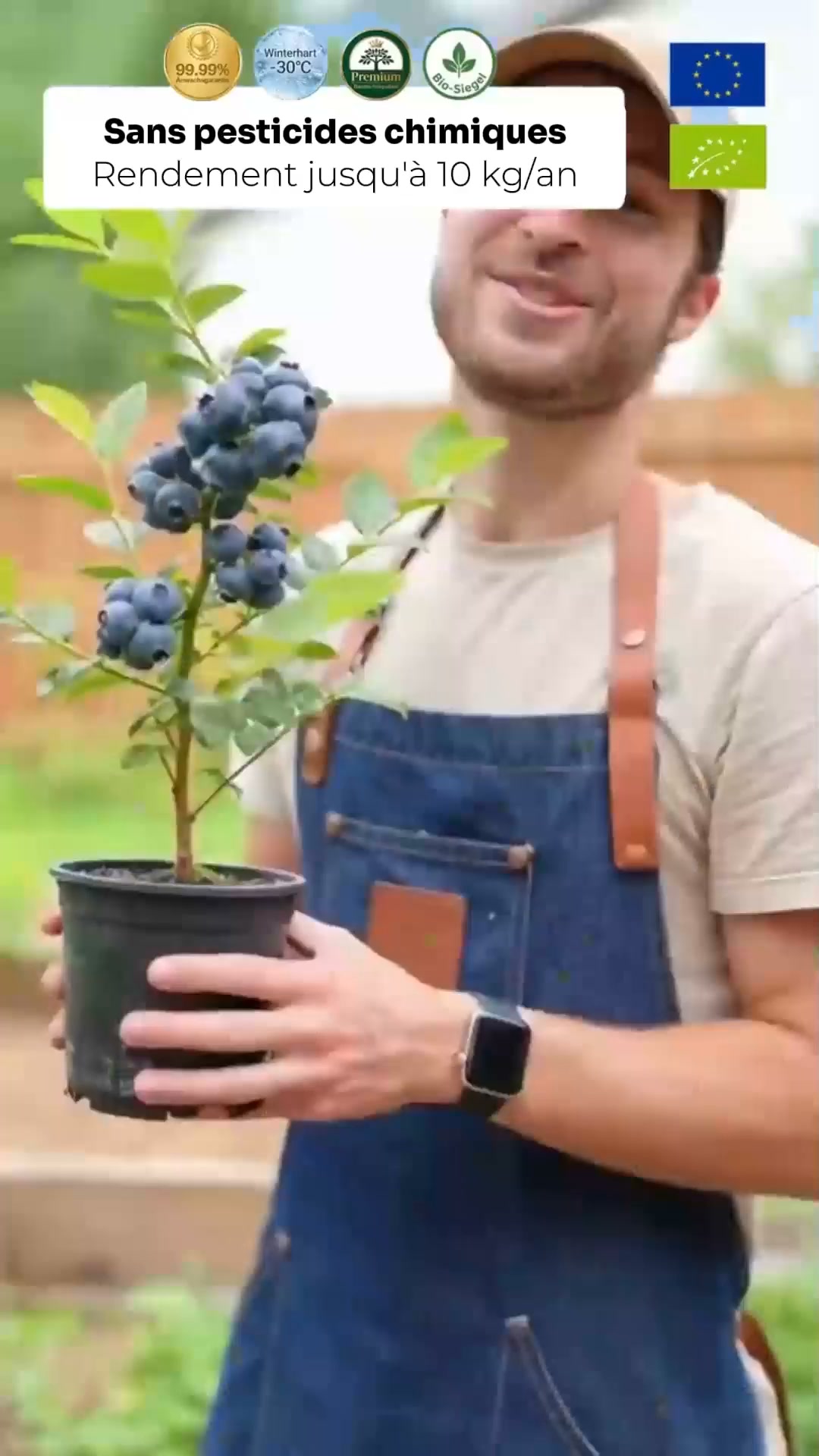 Cultivez des myrtilles fraîches sur votre balcon ou jardin
