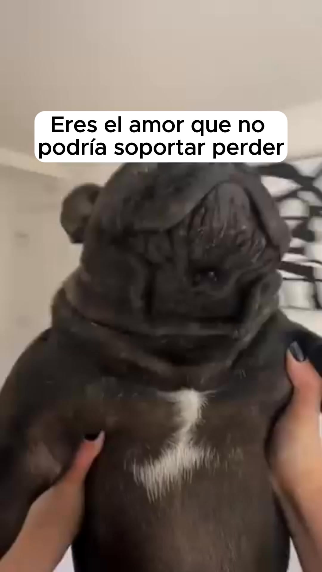 Cuida su vista