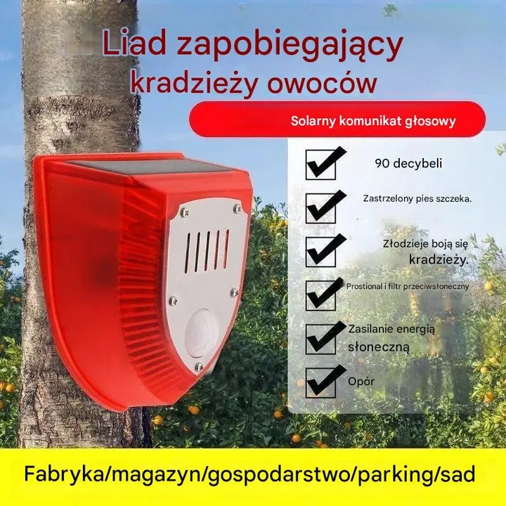Darmowa dostawa Płatność gotówką przy odbiorze