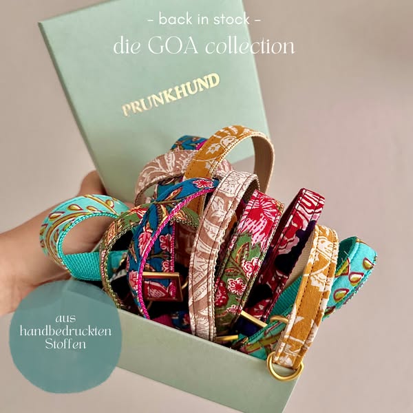 stylische Hundeaccessoires