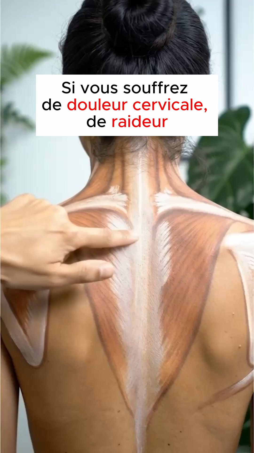 Theratex® Appareil de massage 3 en 1