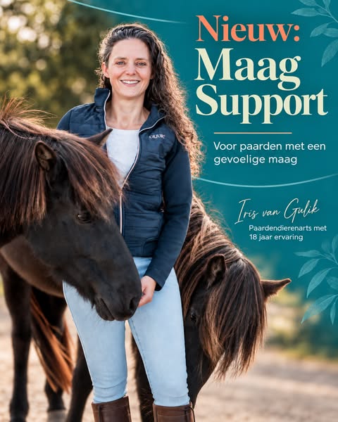 Ondersteun van binnenuit
