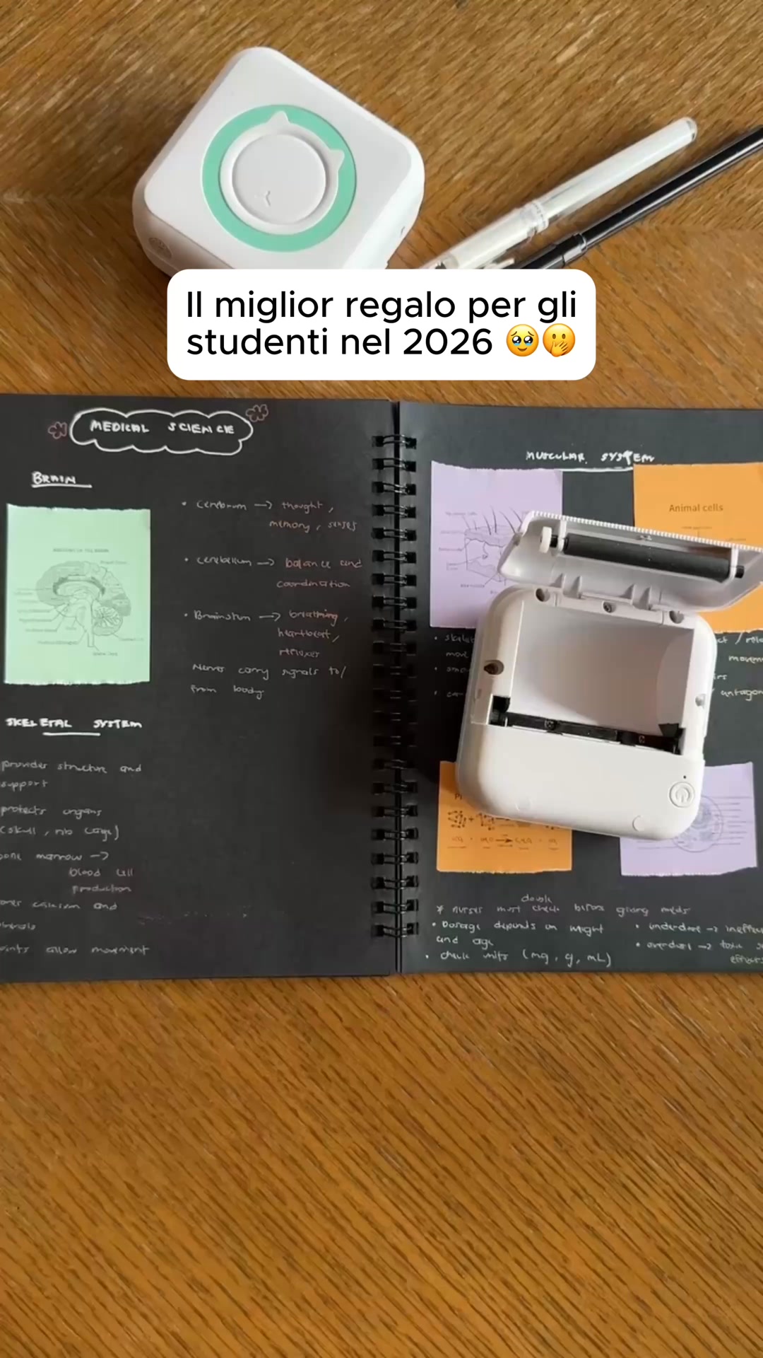 Fino al 70% di SCONTO