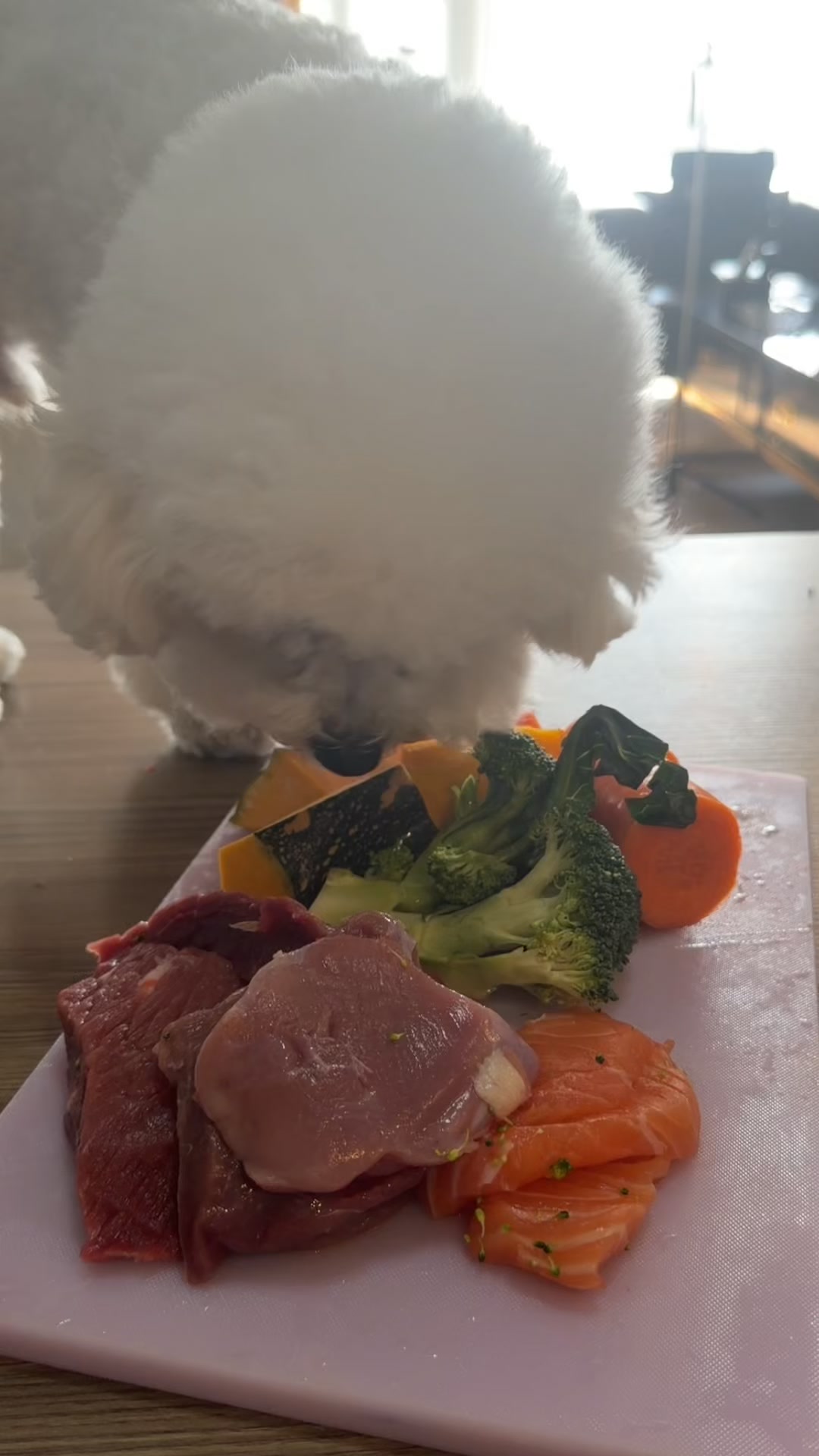 A Mealtime Game Changer