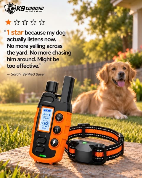 Don't Let a Barking Complaint Become an Eviction Notice