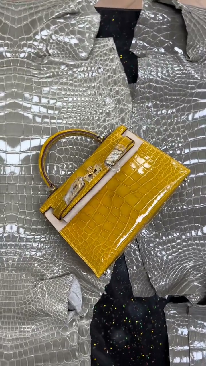 Your Personal Luxury Bag Advisor