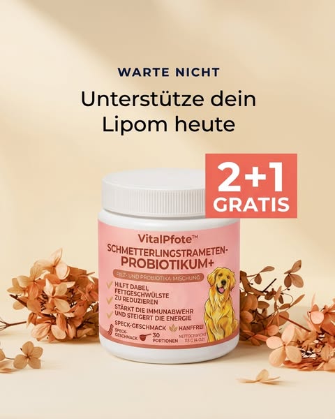 Eine Garantie gibt es hier schon