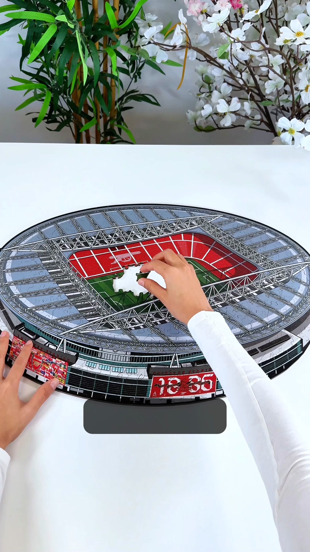 Ramène Le Stade Chez Toi