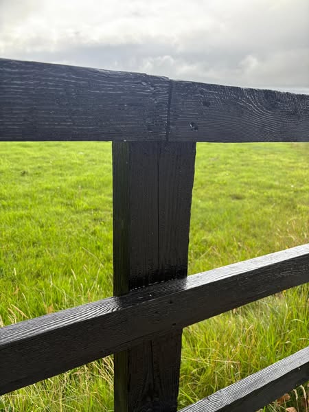 Stud railing fence paint