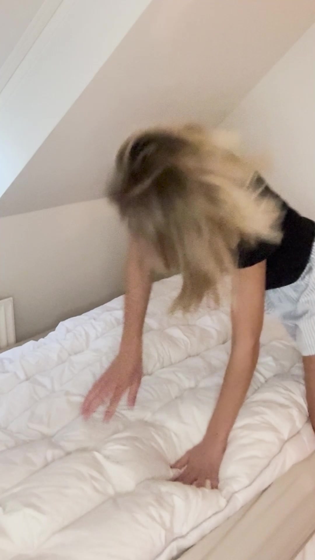 Prøv risikofrit i 31 dage!