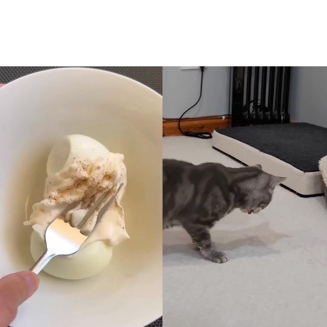 Is this food the secret to your cat's health?