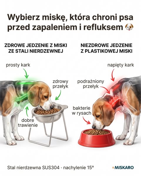 To miska, nie jedzenie.