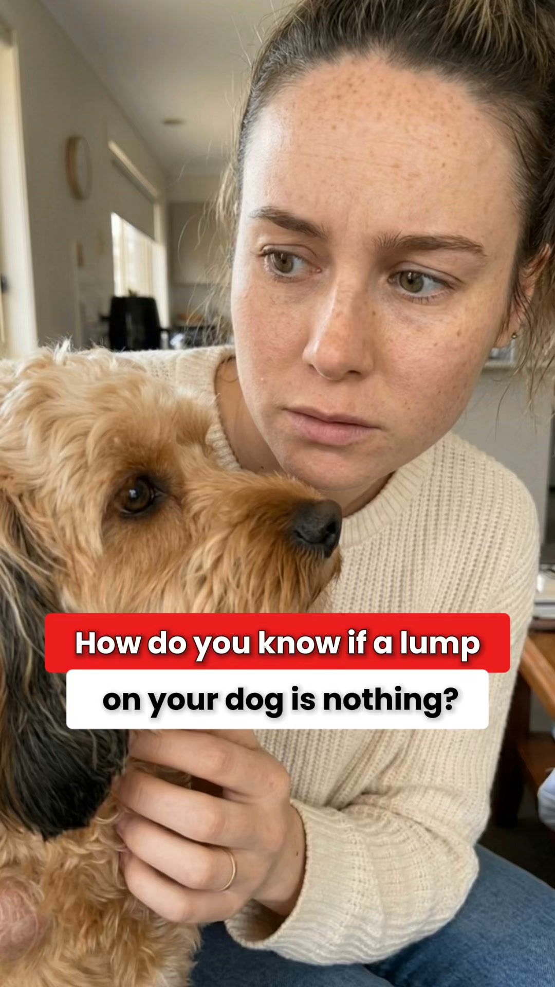 Help Your Dog Today