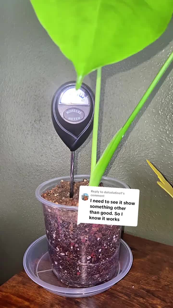 Soil Moisture Meter
