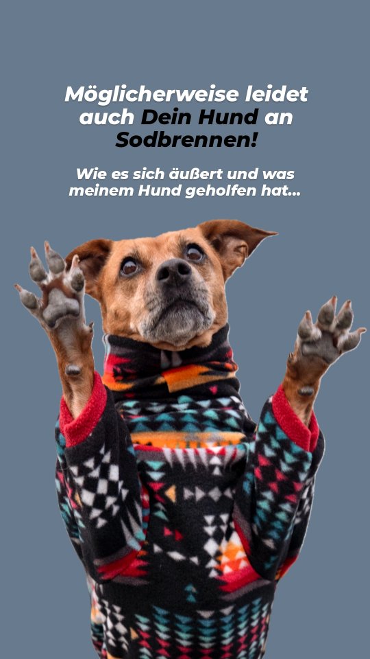Anúncio de Hunderunde