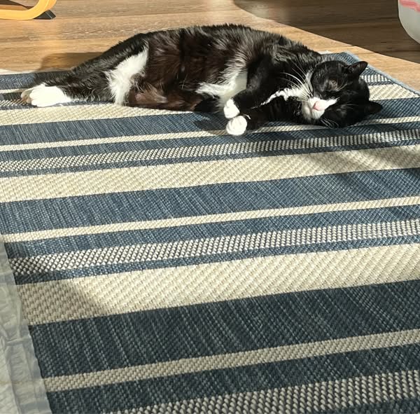 Sie frisst wie ein Scheunendrescher. Und man spürt die Knochen mehr.