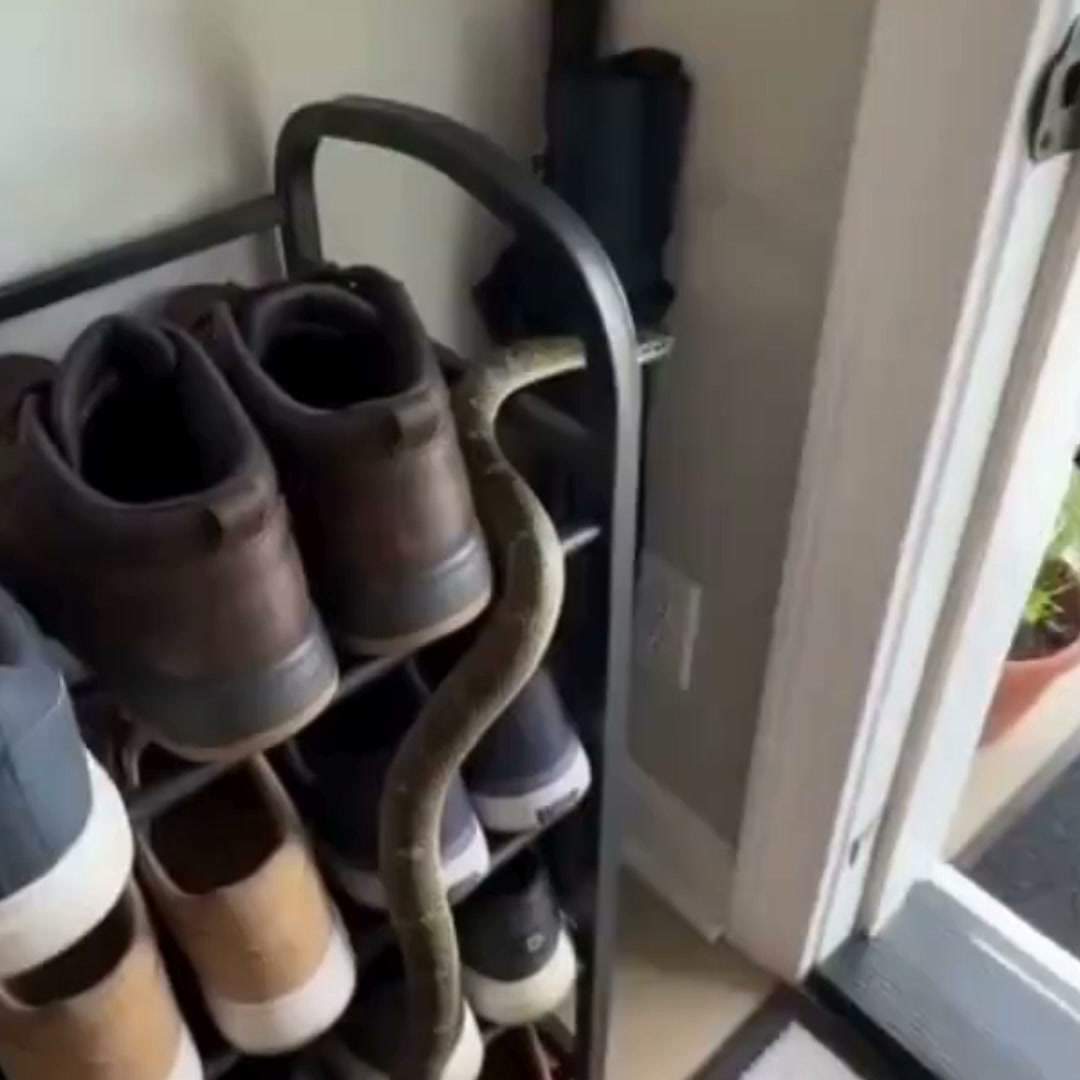 Don't Let Pests Move In This Winter