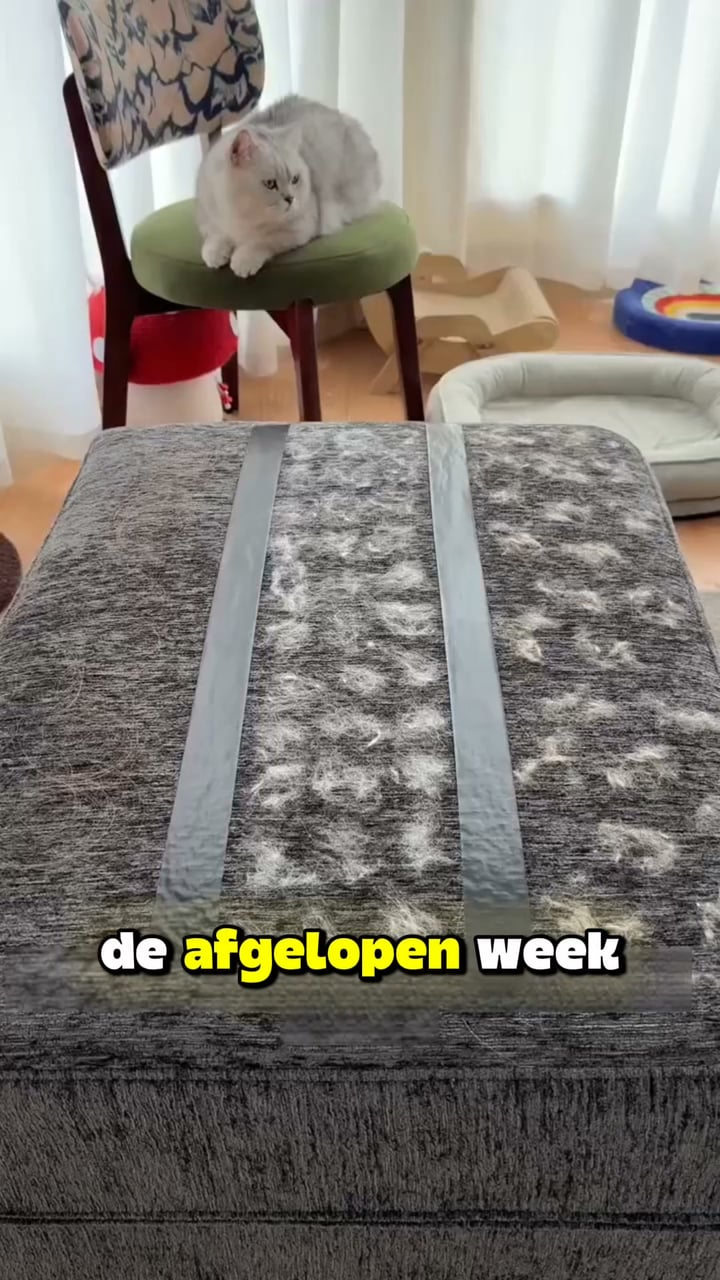 1+1 GRATIS! Alleen vandaag