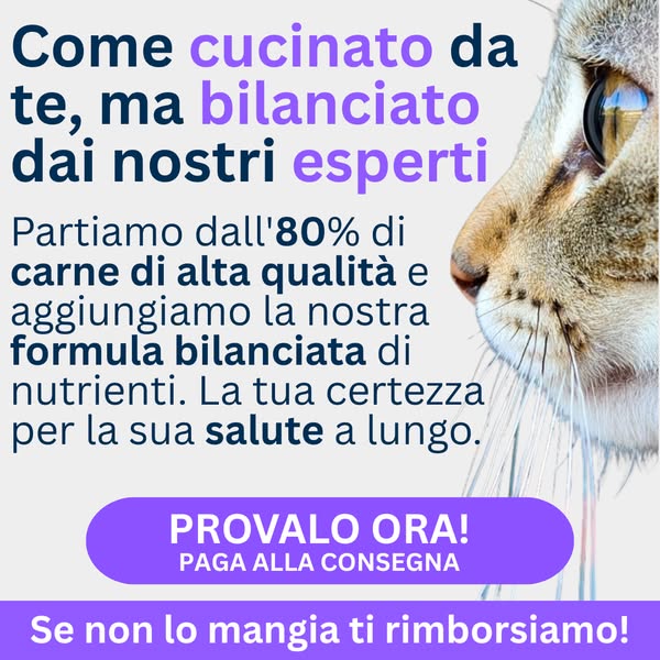 Paga anche alla consegna
