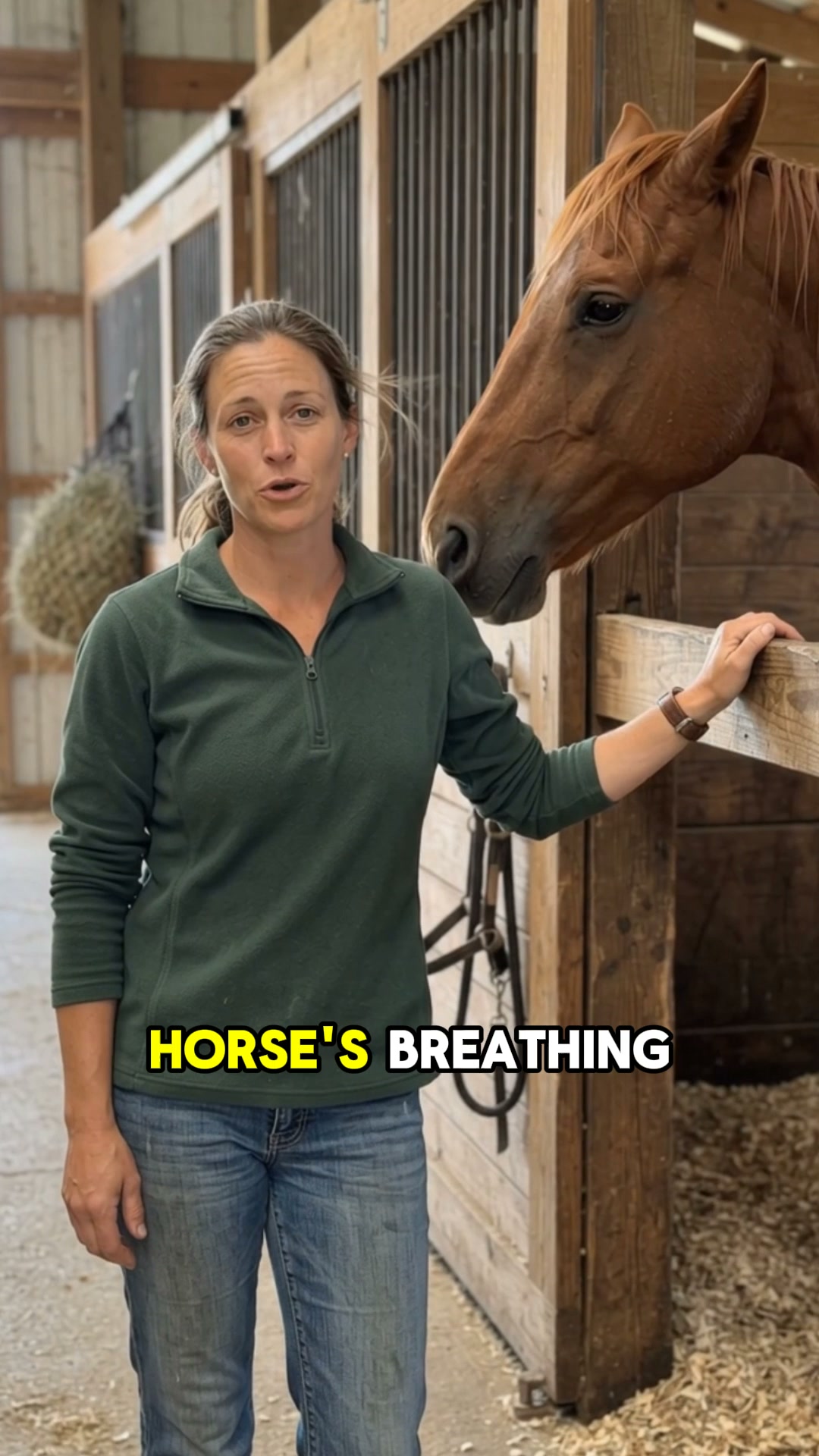 Chevaroo Equine Nebulizer